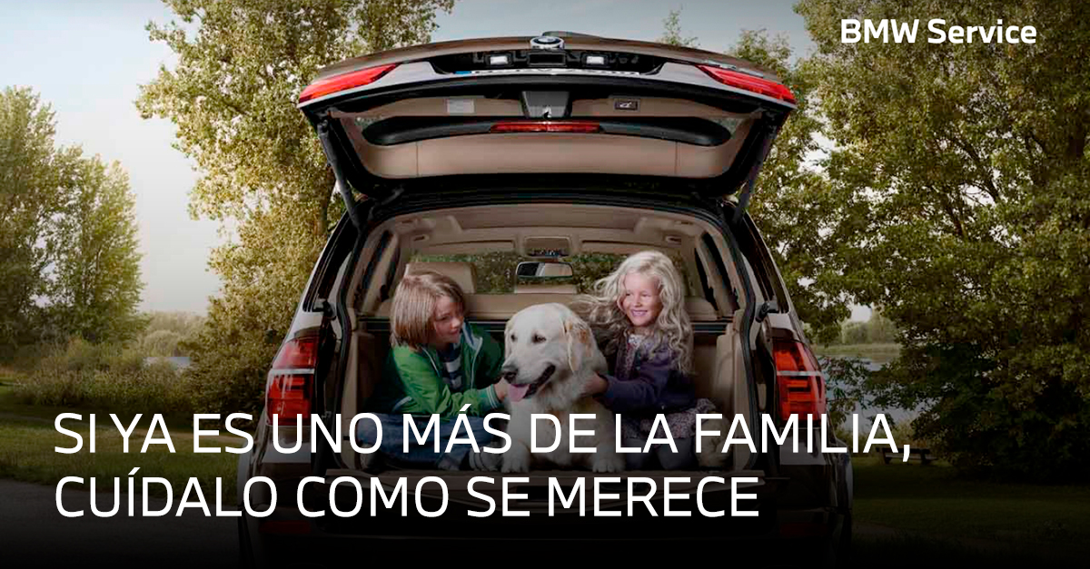 paquete_mantenimiento_bsi_bmw